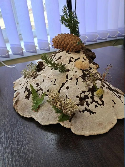 GOup4tEsLAoheyXaSmxoEwxHVb8I57kENGO7cNw9n72Nmf7M5f2QbBAjlrNxhYN44vqFqNVLmbniOgeHSgxBHucO