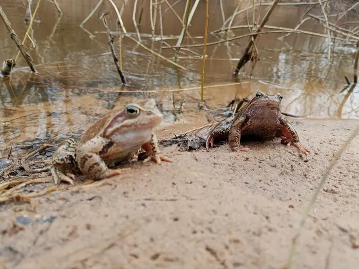 s7DD8VGhhorUGa5CVz4NVrTOrtw7QvwBtDBA26eIy1WyQwHuRyoAqeZCjKjJZgbkiqbu_x60v0TyKn_zI8OLk-_i