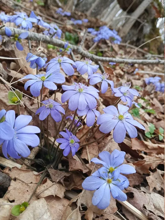 LDO4V4xFgCoodUu91FTyUAa1RsX2LQYGmfvcCxrpYXxvBoUPxiblT2a6N8M-GgmfMVT16TBpkelrF7guJWpr2-bB