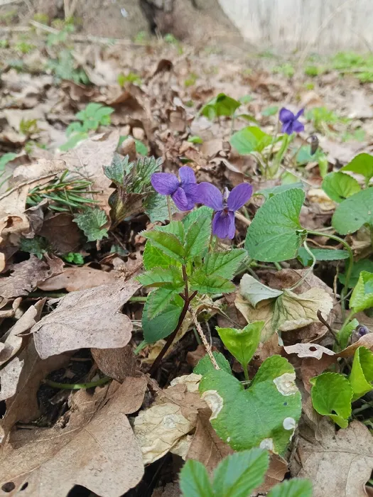 WozDsgwH5-KhPd-yaGYJ4CuzBfustoAfv0pWoDwzz8rQydXVZDqDQCMfRrnc0I00qdn50TMDO3yo0R6VWNG9jR4K