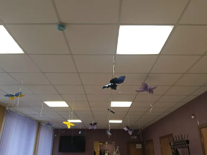 f4BPeVL1CzkD1vYB6S5Ms-HVTKBHInVIZ2exBEaBERcf1rDU9m0LWUwt2rxWmc6UOTjMEzak05uI_xgWOTuO97Ai