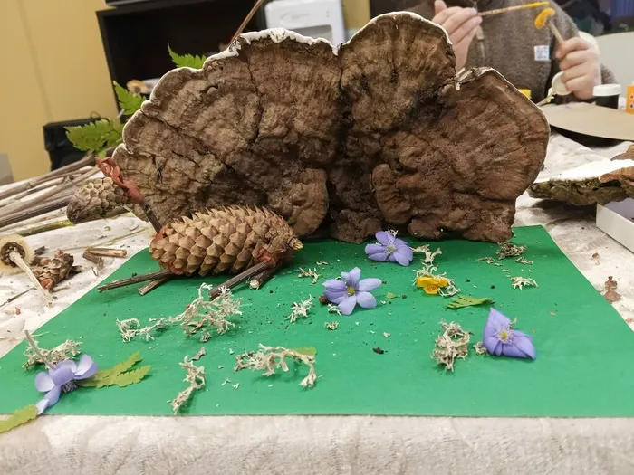 G-eL87pGqVJDXfeEz9nXNinnwh8IjZdbf_Vpg5y24NlTcB_HjnfLcbhJINwfmSTOQGkhtU4ESCNndCzaixZcKsdw