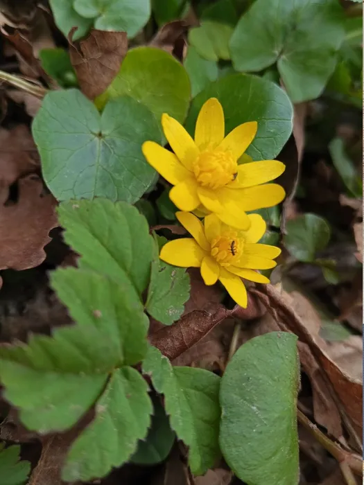 yStMjR47-czW9yQtwTDQBiH_nlVNb2l-M6Z6yX_GN4BBTmN2_ihsaZnHCTCws3T77I9KGstyTgJGE-nHqNGoyLmK